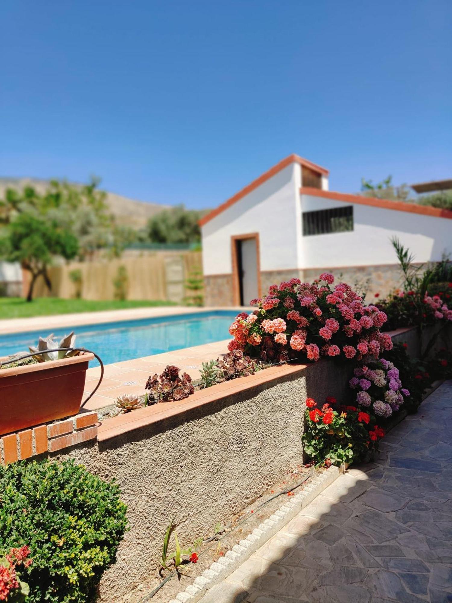 Casa Rural Las Cuatro Flores オルヒバ エクステリア 写真